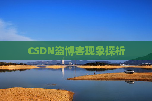 CSDN盗博客现象探析
